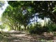 223 North Arm Road, Eumundi QLD 4562