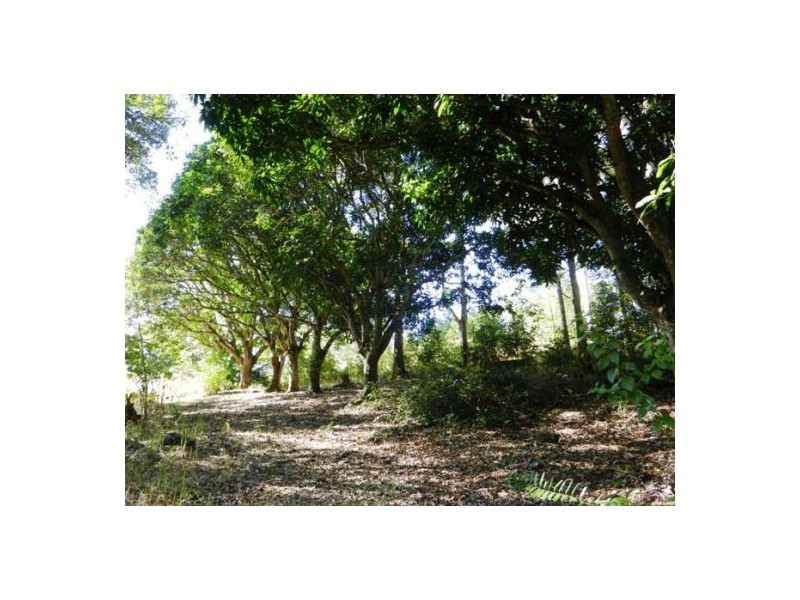223 North Arm Road, Eumundi QLD 4562