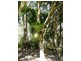 223 North Arm Road, Eumundi QLD 4562