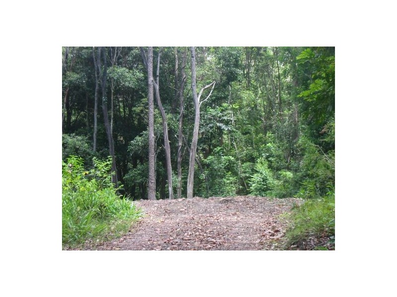 4b Gumtree Drive, Buderim QLD 4556