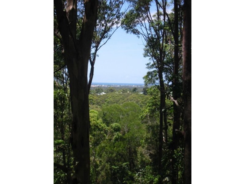 4b Gumtree Drive, Buderim QLD 4556
