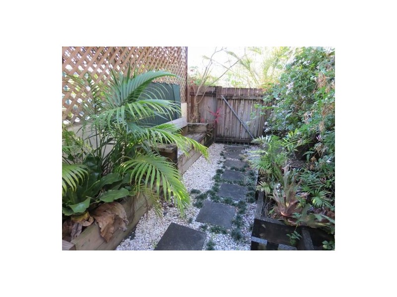 1/8 Arwen Street, Maroochydore QLD 4558