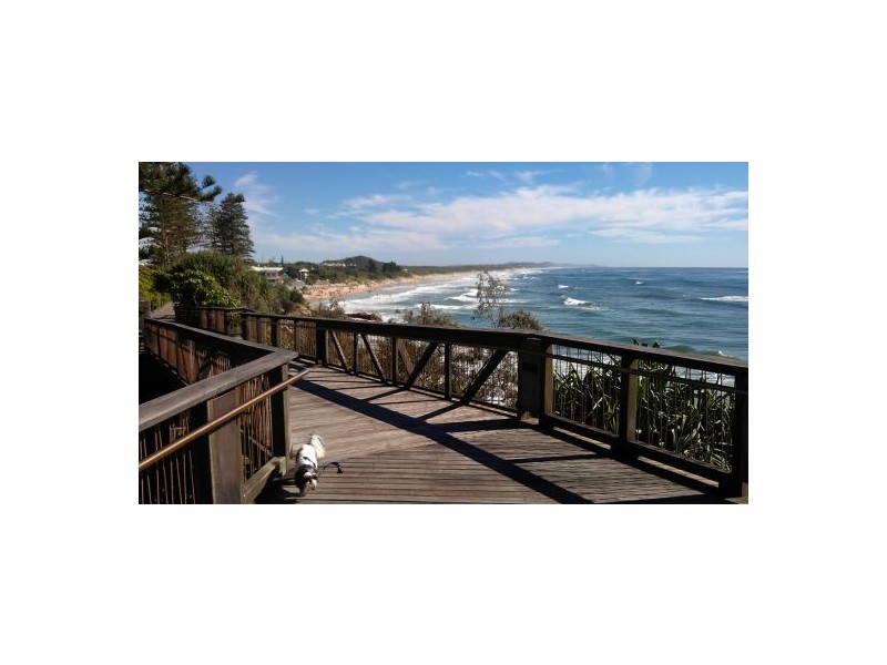 22 Berry Court, Mount Coolum QLD 4573