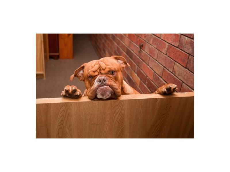 35 Ferry St, Maryborough QLD 4650