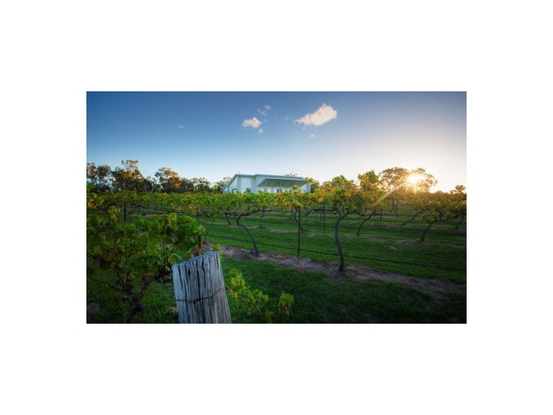 165 Sundown Rd, Ballandean QLD 4382