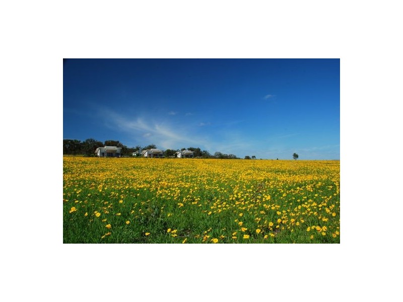 165 Sundown Rd, Ballandean QLD 4382