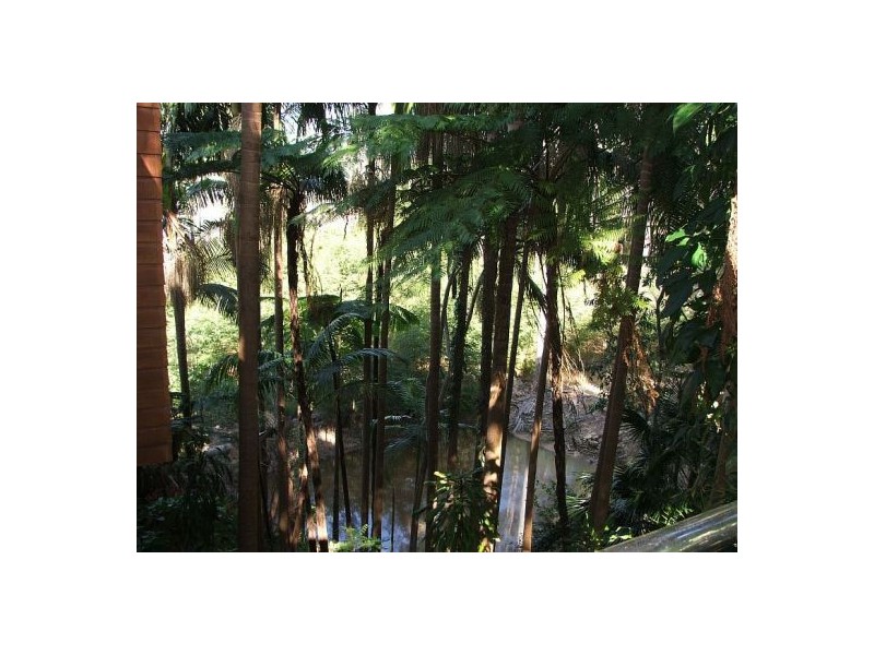 104 Cunning Road, Tanawha QLD 4556