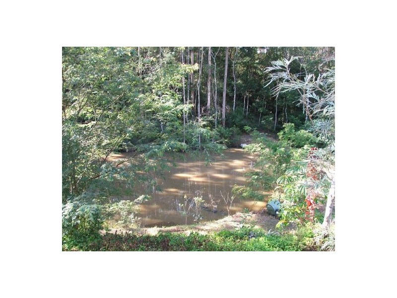 104 Cunning Road, Tanawha QLD 4556