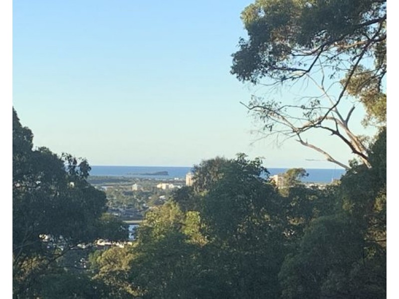 Buderim QLD 4556