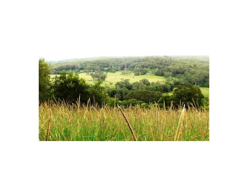 81 Balkins Rd, Kiamba QLD 4560