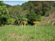 Montville QLD 4560
