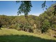 Montville QLD 4560