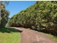 Montville QLD 4560