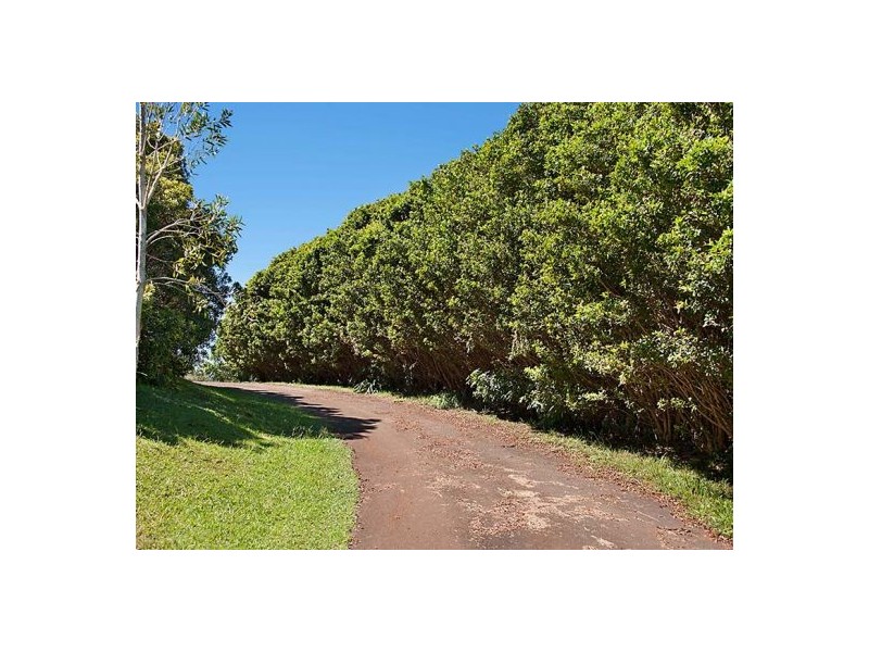 Montville QLD 4560