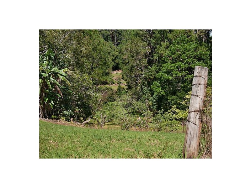Montville QLD 4560