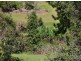 Montville QLD 4560