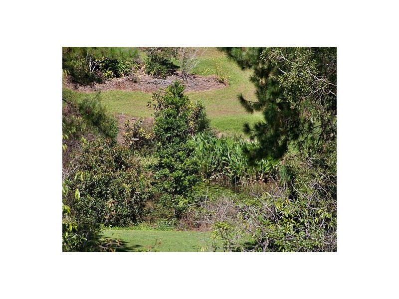 Montville QLD 4560