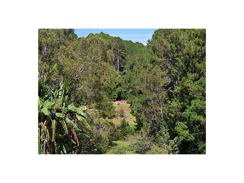 Montville QLD 4560