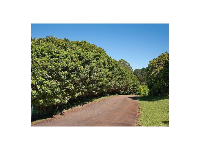 Montville QLD 4560