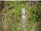 Montville QLD 4560