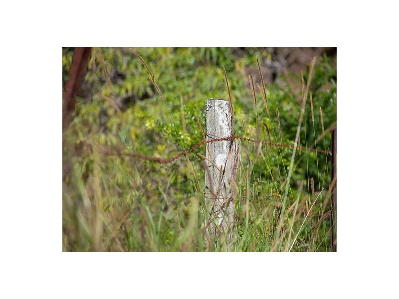 Montville QLD 4560