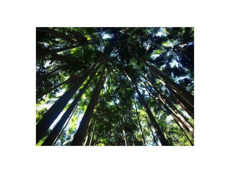 191 Glenmount Rd, Tanawha QLD 4556