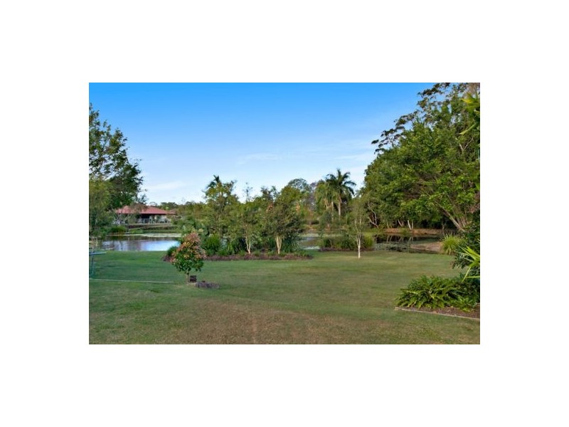 71 Palmwoods School Road, Palmwoods QLD 4555