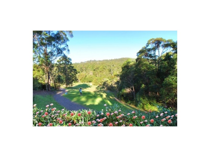31 Palm Creek Rd, Tanawha QLD 4556