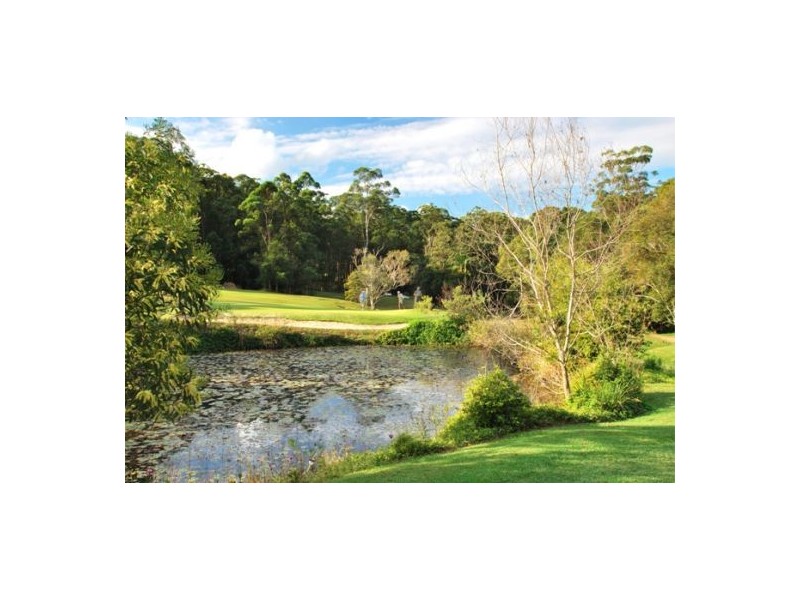 31 Palm Creek Rd, Tanawha QLD 4556