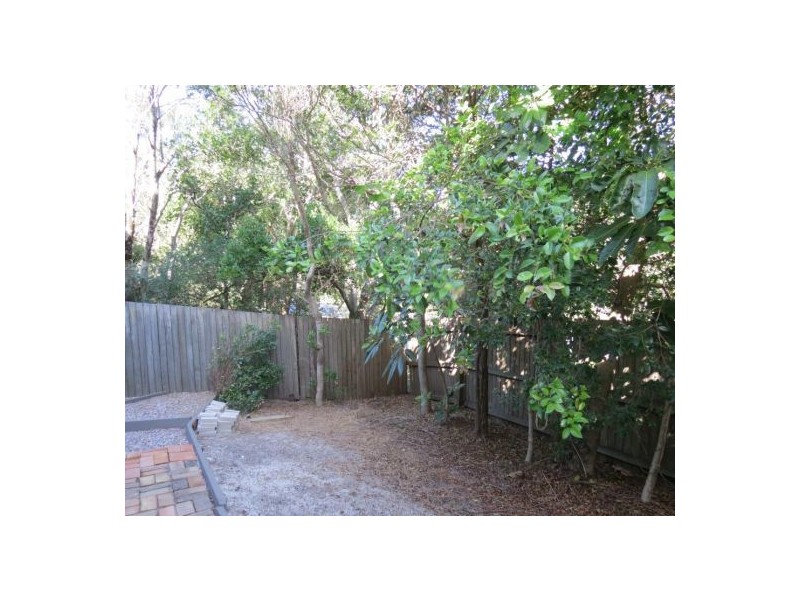 19 Oriole Avenue, Peregian Beach QLD 4573