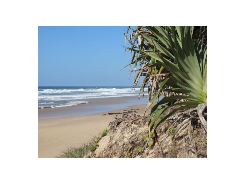 19 Oriole Avenue, Peregian Beach QLD 4573