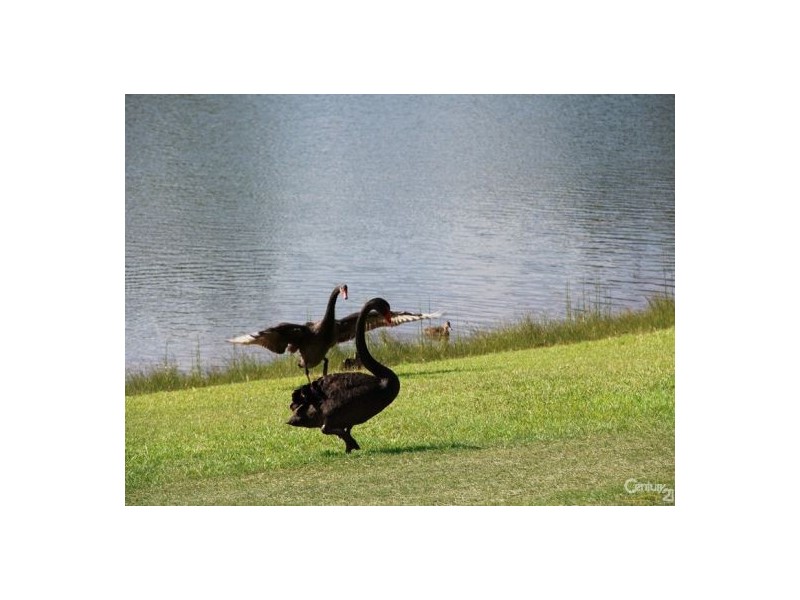 84/171 David Low Way, Bli Bli QLD 4560