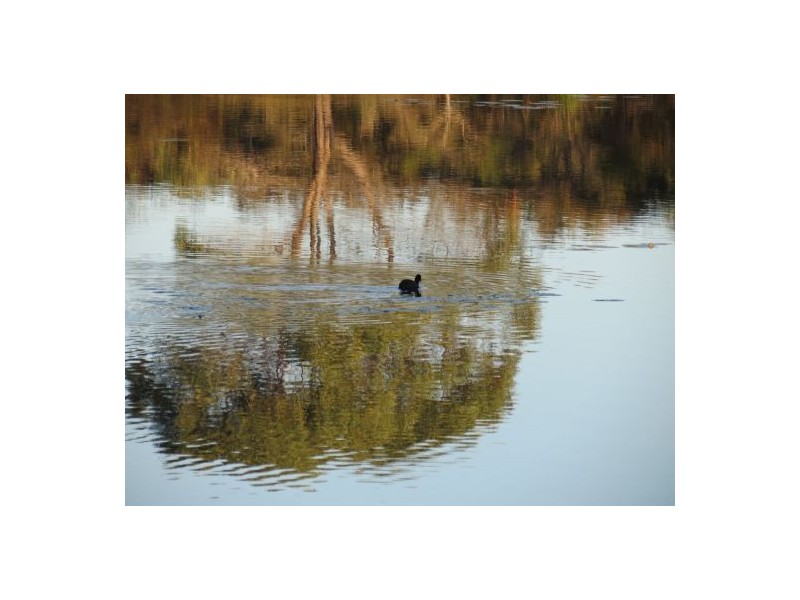 5 Ballinger Place, Pelican Waters QLD 4551