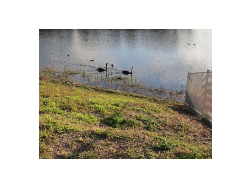 5 Ballinger Place, Pelican Waters QLD 4551