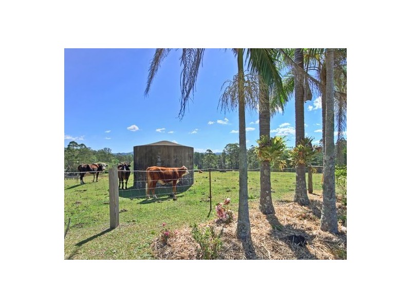 56 London Creek Road, Peachester QLD 4519