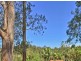 56 London Creek Road, Peachester QLD 4519
