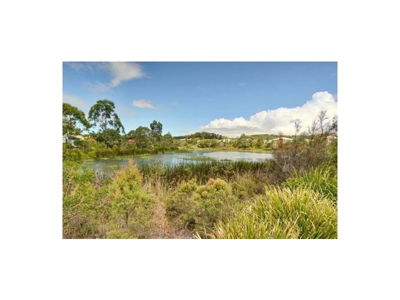 12 Forest View Way, Little Mountain QLD 4551