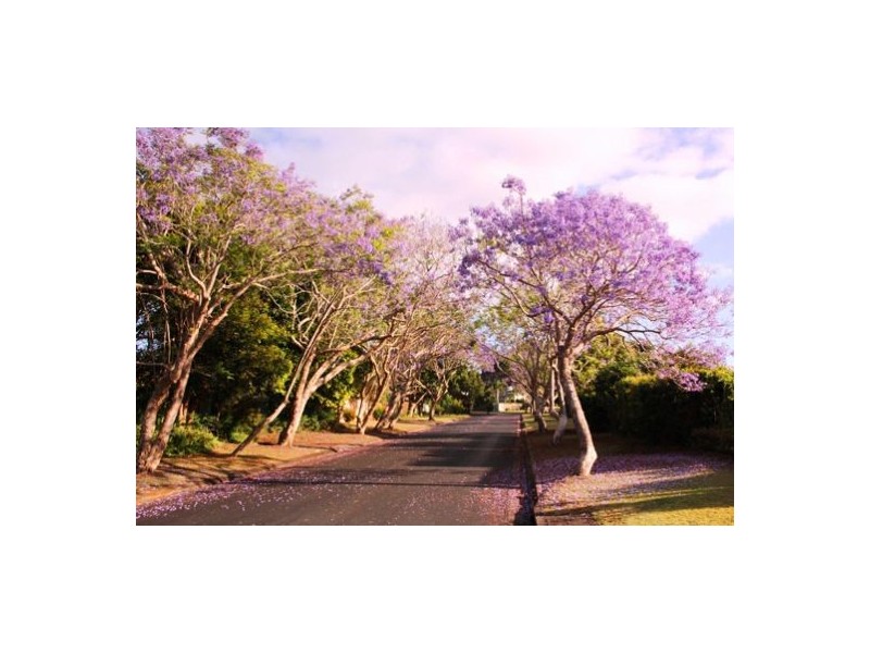 14 Kimberly Court, Buderim QLD 4556