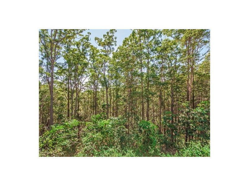 21-23 Settlers Ridge, Buderim QLD 4556