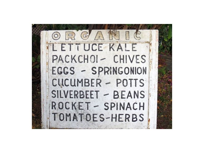 46 Chevallum Road, Palmwoods QLD 4555