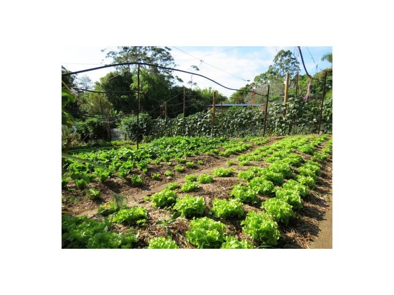 46 Chevallum Road, Palmwoods QLD 4555