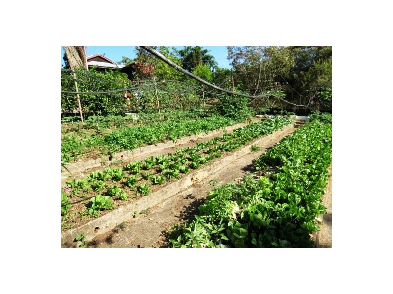 46 Chevallum Road, Palmwoods QLD 4555