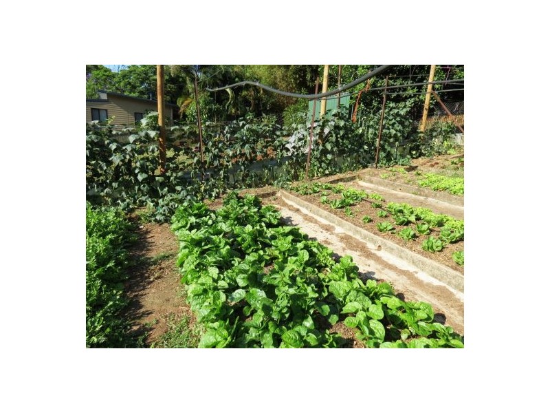 46 Chevallum Road, Palmwoods QLD 4555