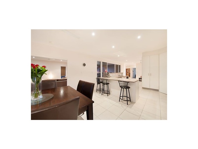 56 Petigrain Macadam Court, Palmwoods QLD 4555