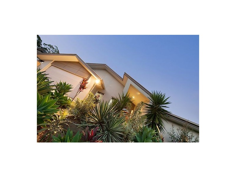 56 Petigrain Macadam Court, Palmwoods QLD 4555