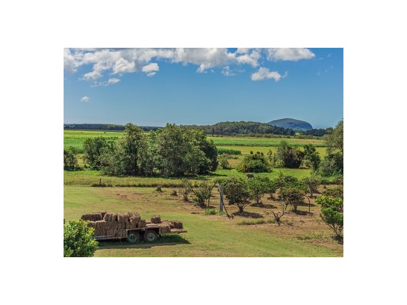 67 Thomas Road, Bli Bli QLD 4560