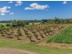 67 Thomas Road, Bli Bli QLD 4560