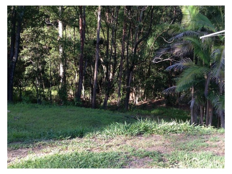 392-428 Perwillowen Road, Perwillowen QLD 4560