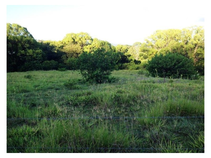 392-428 Perwillowen Road, Perwillowen QLD 4560