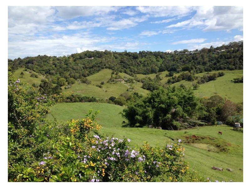 164 Dulong School Road, Dulong QLD 4560